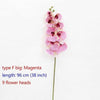 tipo F grande Magenta
