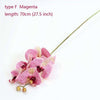 tipo F Magenta