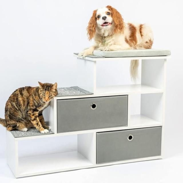 Perch Bookshelf with Storage Baskets