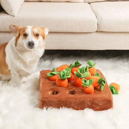 Jouet interactif en peluche pour chien en forme de ferme de carottes