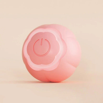 Interactive Magic Rolling Ball: Electric Toy for Indoor Cats - Wnkrs