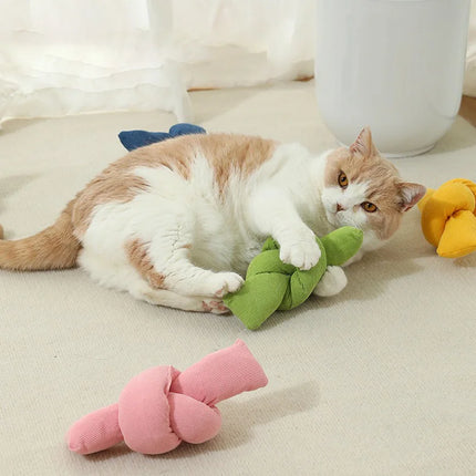 Interactive Cat Chew Toy