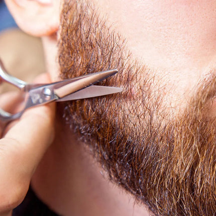 Kit de cuidado de barba de 4 piezas de primera calidad