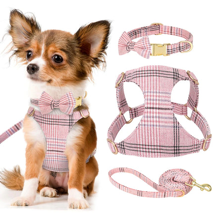 Ensemble harnais et laisse pour chien tendance avec nœud papillon