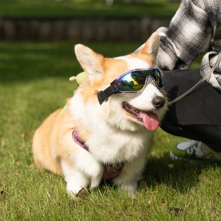 Gafas de sol para perros resistentes al viento y a los rayos UV, ajustables, para perros medianos y grandes