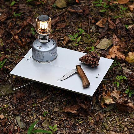 Table de camping portable et légère en aluminium