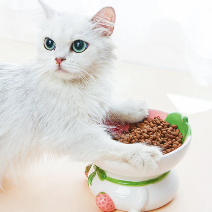 Ceramic Cat & Dog Bowl with Neck Protection