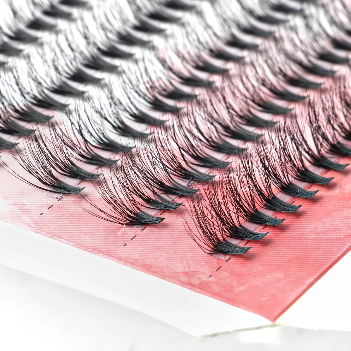Black 30D C-Curl Lash Clusters, 10–14 mm