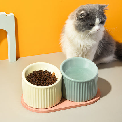 Elevated Ceramic Cat and Small Dog Water Bowl