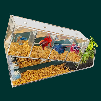 Elegante pecera acrílica para peces betta