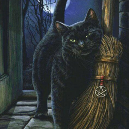 5D Diamond Painting Cat And Broom, Full Embroidery, Art, - Wnkrs