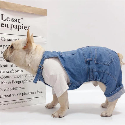 Combinaison en jean pour chien