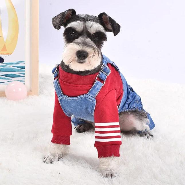 Mono vaquero para perro