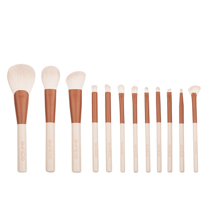 Ensemble de 12 pinceaux de maquillage professionnels