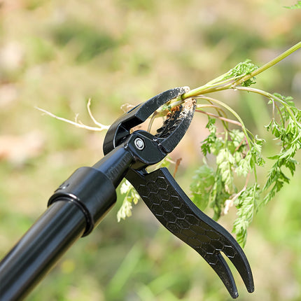 Arrache-mauvaises herbes efficace avec griffe en aluminium pour jardin et pelouse