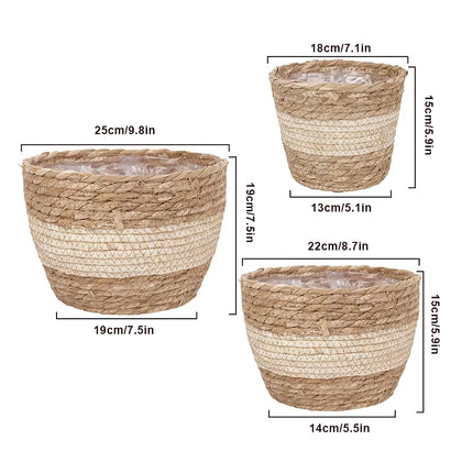 Ensemble de paniers à plantes en paille tressée