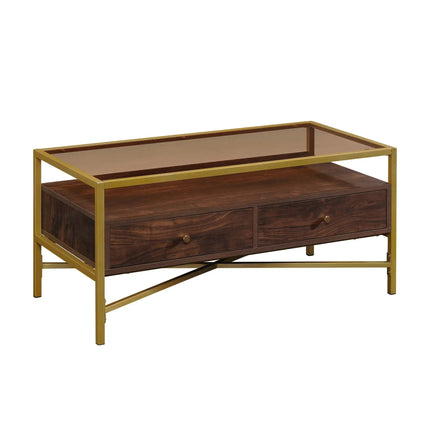 Glamorous Glass-Top Metal and Wood Coffee Table with Storage - Wnkrs