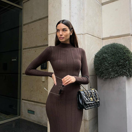 Knitted Turtleneck Tight European, American And French Style Elegant Bottoming Striped Dress Sweater