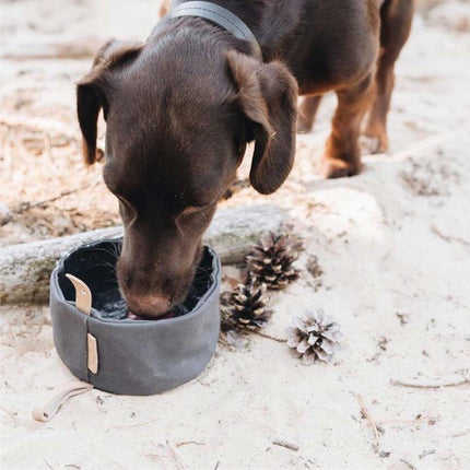 Cuenco de lona impermeable y plegable para perros de 1000 ml