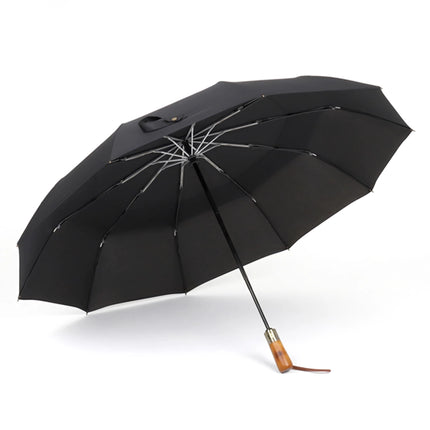 Executive Automatic Windproof Golf Umbrella