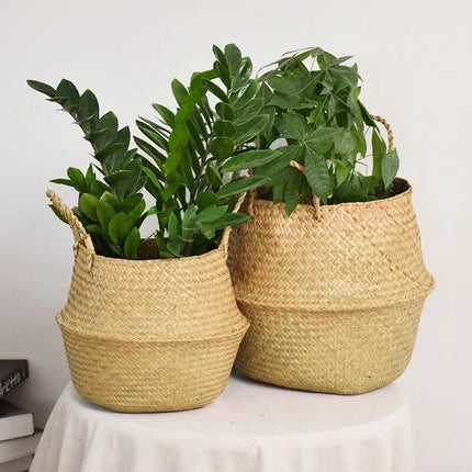 Versatile Wicker Seagrass Planter and Storage Basket - Wnkrs