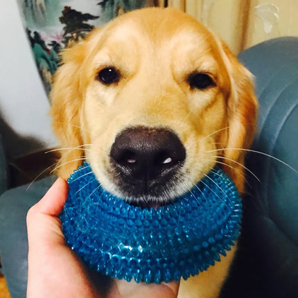 Juguete interactivo para masticar con chirrido para perros de todos los tamaños