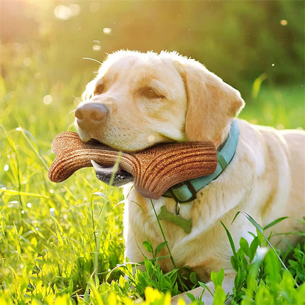 Jouet à mâcher en bois véritable indestructible pour chiens