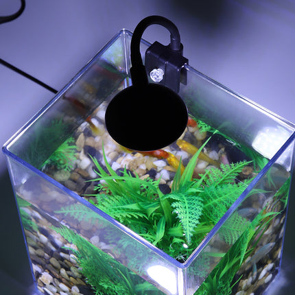 Aquarium de bureau alimenté par USB avec lumières LED