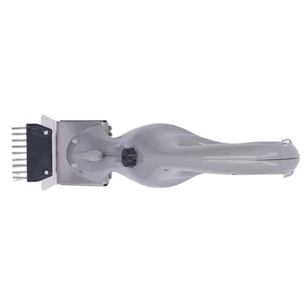 Outdoor BBQ Steam Cleaning Brush