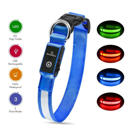 LED Safety Dog Collar - Wnkrs