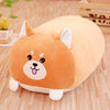 Brown Shiba Inu