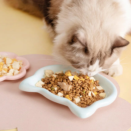 Gamelle en céramique pour chat