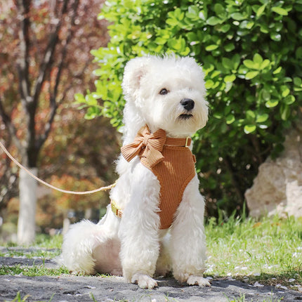 Conjunto de arnés y correa de malla ajustable para perros con lindo lazo