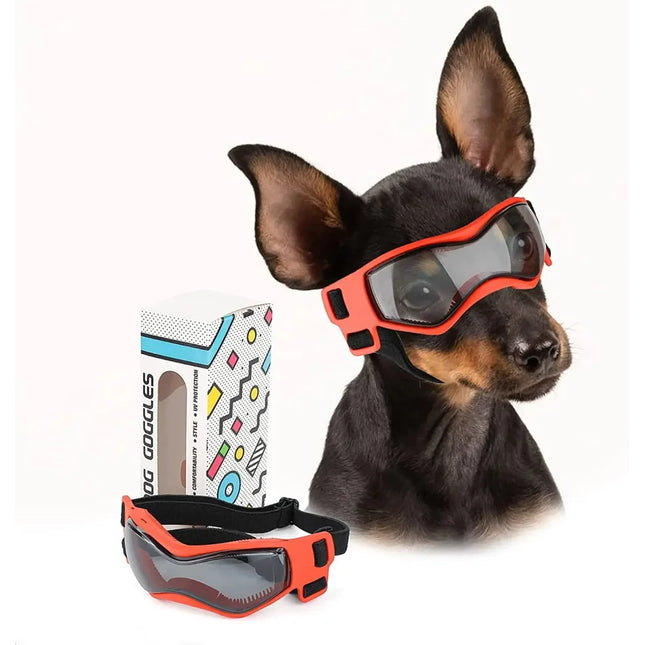 Lunettes de protection pour chien avec protection UV