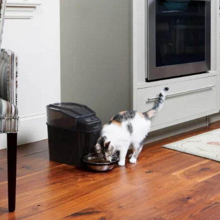 Automatic Pet Feeder for Dogs and Cats - Wnkrs