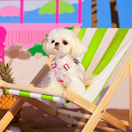 Chaleco refrescante para gatos y perros pequeños