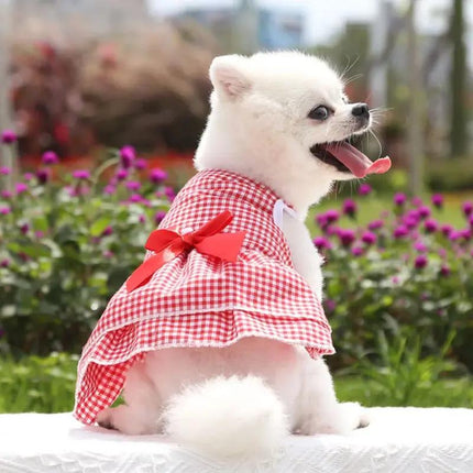 Vestido de princesa para perro