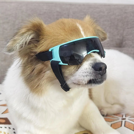 Gafas de sol para perros pequeños