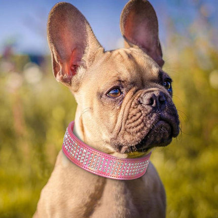 Collar para perros con brillantes diamantes de imitación para perros medianos y grandes