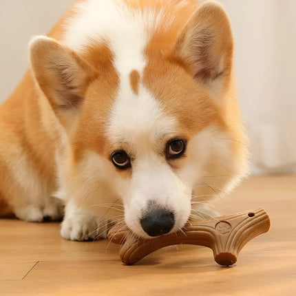 Jouet à mâcher pour chien résistant aux morsures