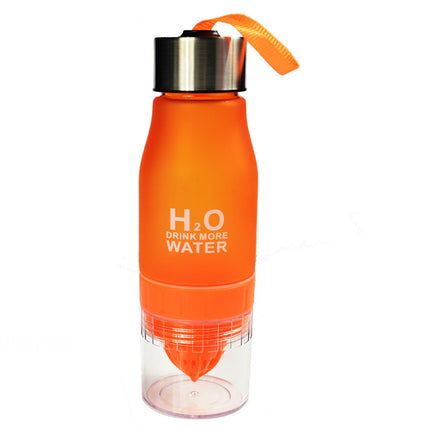 Bouteille d'eau portable avec infuseur de fruits de 650 ml