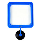 Blue / Square