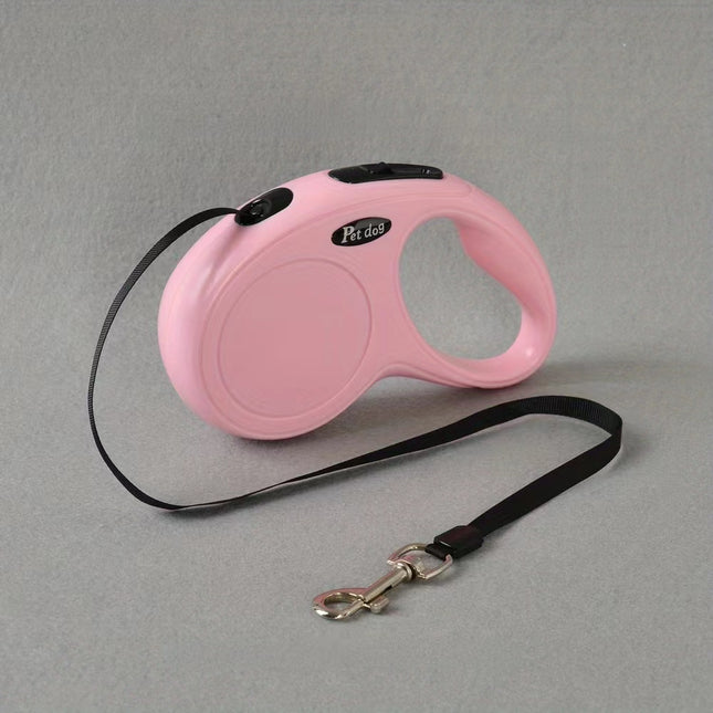Ensemble laisse et collier rétractable automatique pour chien