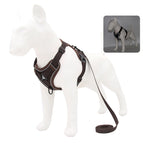 XL 7.5-10 kg / Brown