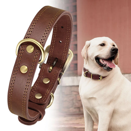 Collar de cuero genuino para perros, duradero y ajustable para perros pequeños y grandes