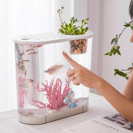 Réservoir en plastique transparent pour poissons rouges