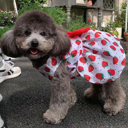 Vestido para perro con lazo para primavera y verano