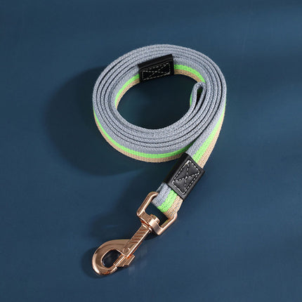 Strong Durable Nylon Dog Leash