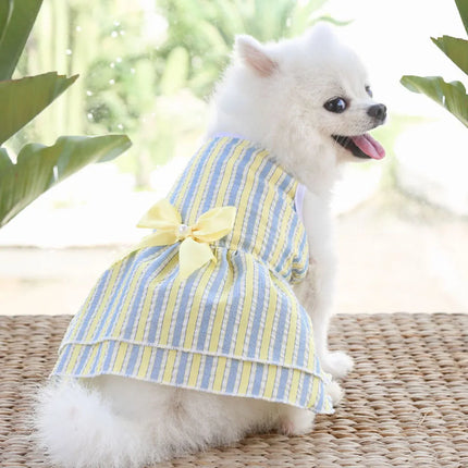 Vestido de princesa para perro