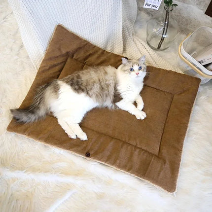 Camas para gatos para el invierno Cosas mullidas para mascotas Casas de peluche Camas de dibujos animados Alfombra cálida para perros Productos para gatitos Cestas de hábitat Accesorios Suministros